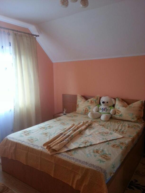 Călimăneşti Steluta 빌라 외부 사진