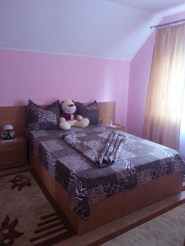 Călimăneşti Steluta 빌라 외부 사진