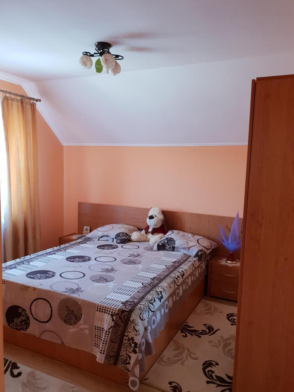 Călimăneşti Steluta 빌라 객실 사진